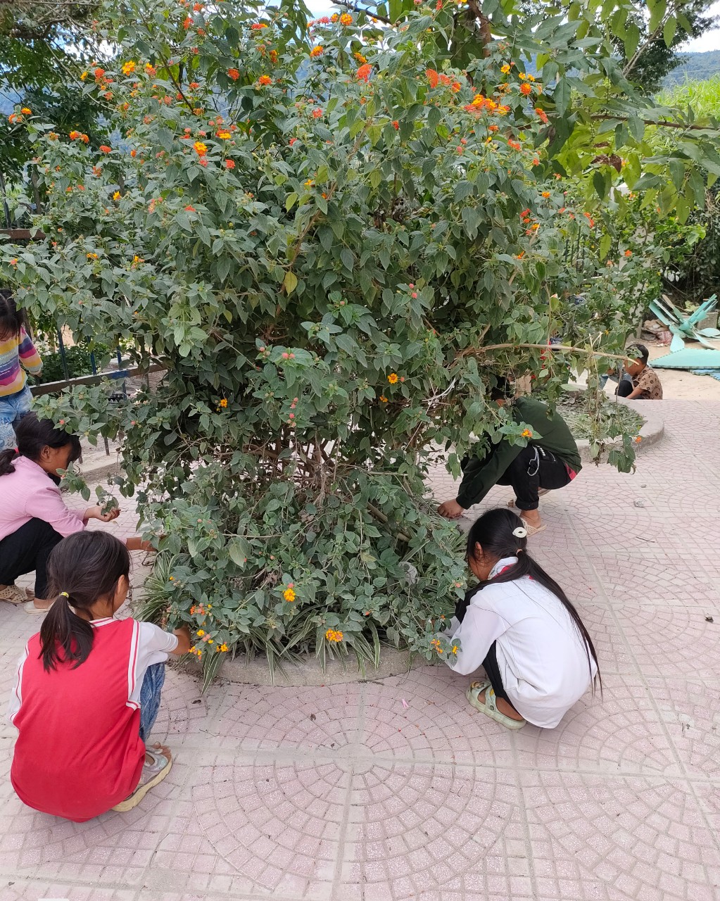Trường PTDTBT Tiểu học Keo Lôm với công tác trồng, chăm sóc bồn hoa cây cảnh nhằm tạo cảnh quan trường lớp luôn xanh - sạch - đẹp.